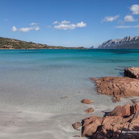 Aria Di Vacanza - Gelsi Olbia Zewnętrze zdjęcie