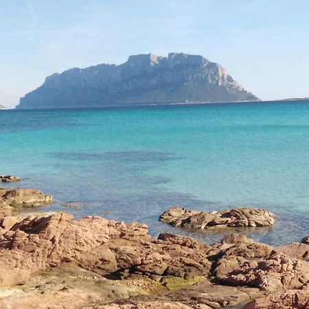 Aria Di Vacanza - Gelsi Olbia Zewnętrze zdjęcie