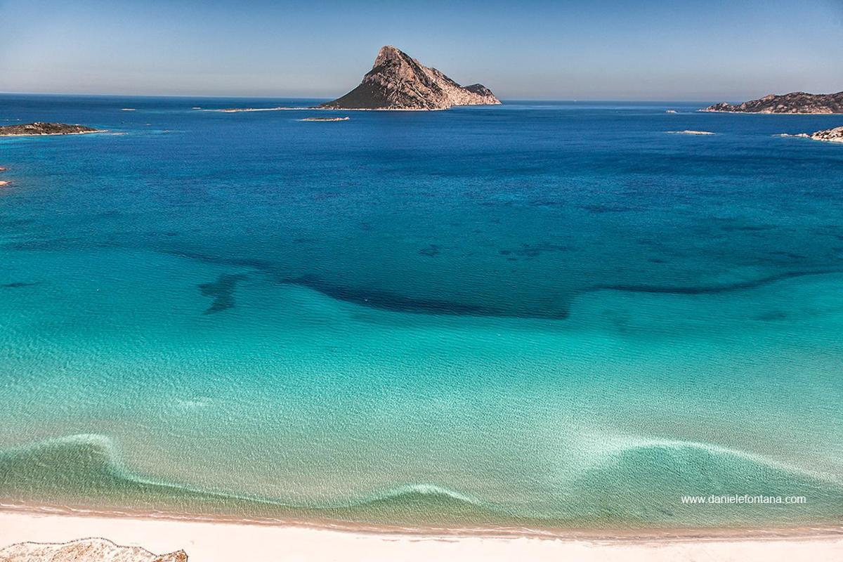 Aria Di Vacanza - Gelsi Olbia Zewnętrze zdjęcie