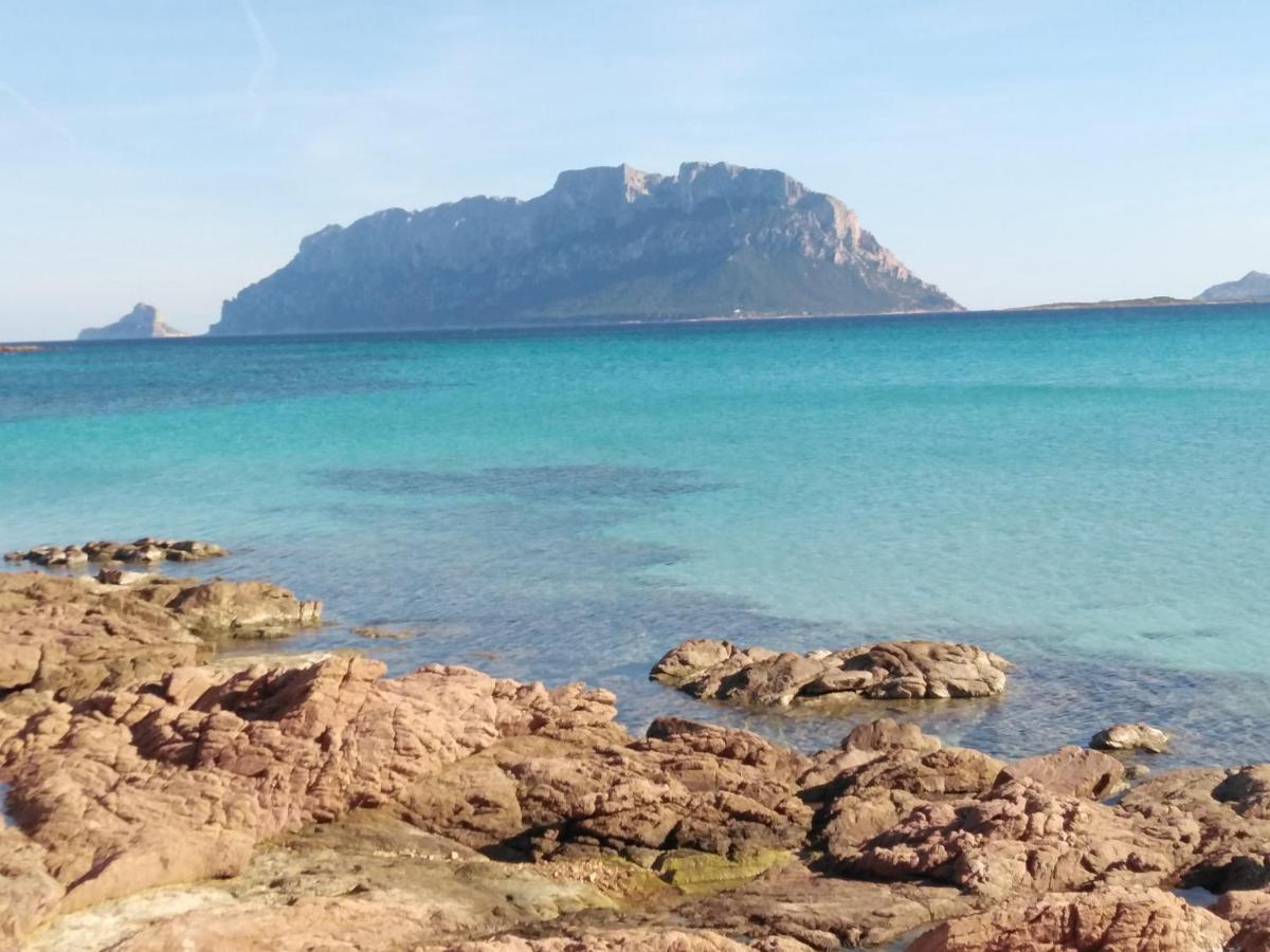 Aria Di Vacanza - Gelsi Olbia Zewnętrze zdjęcie